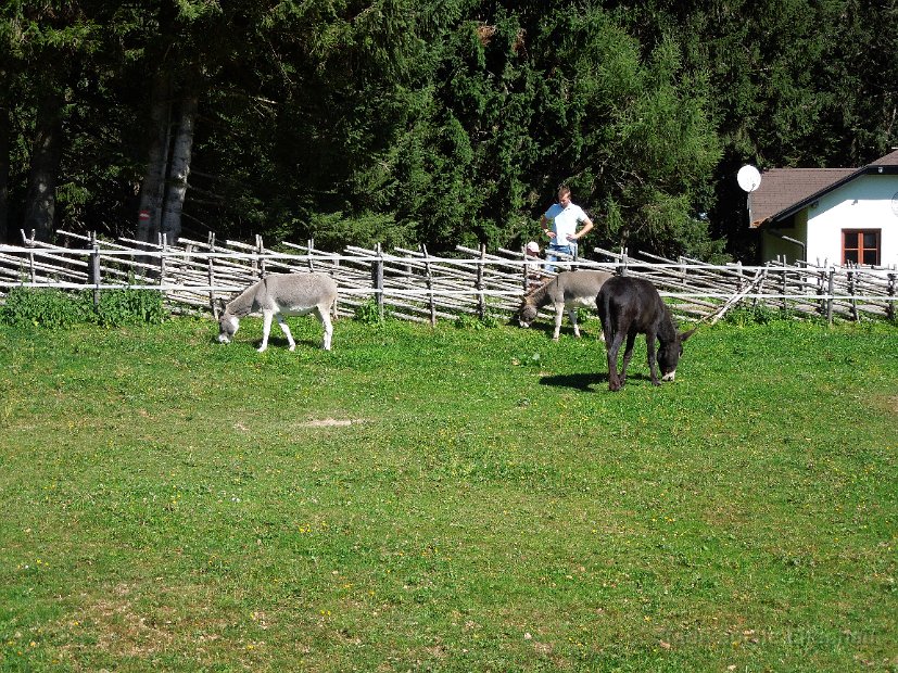 2015_08_29-30 Musikantenausflug (79)